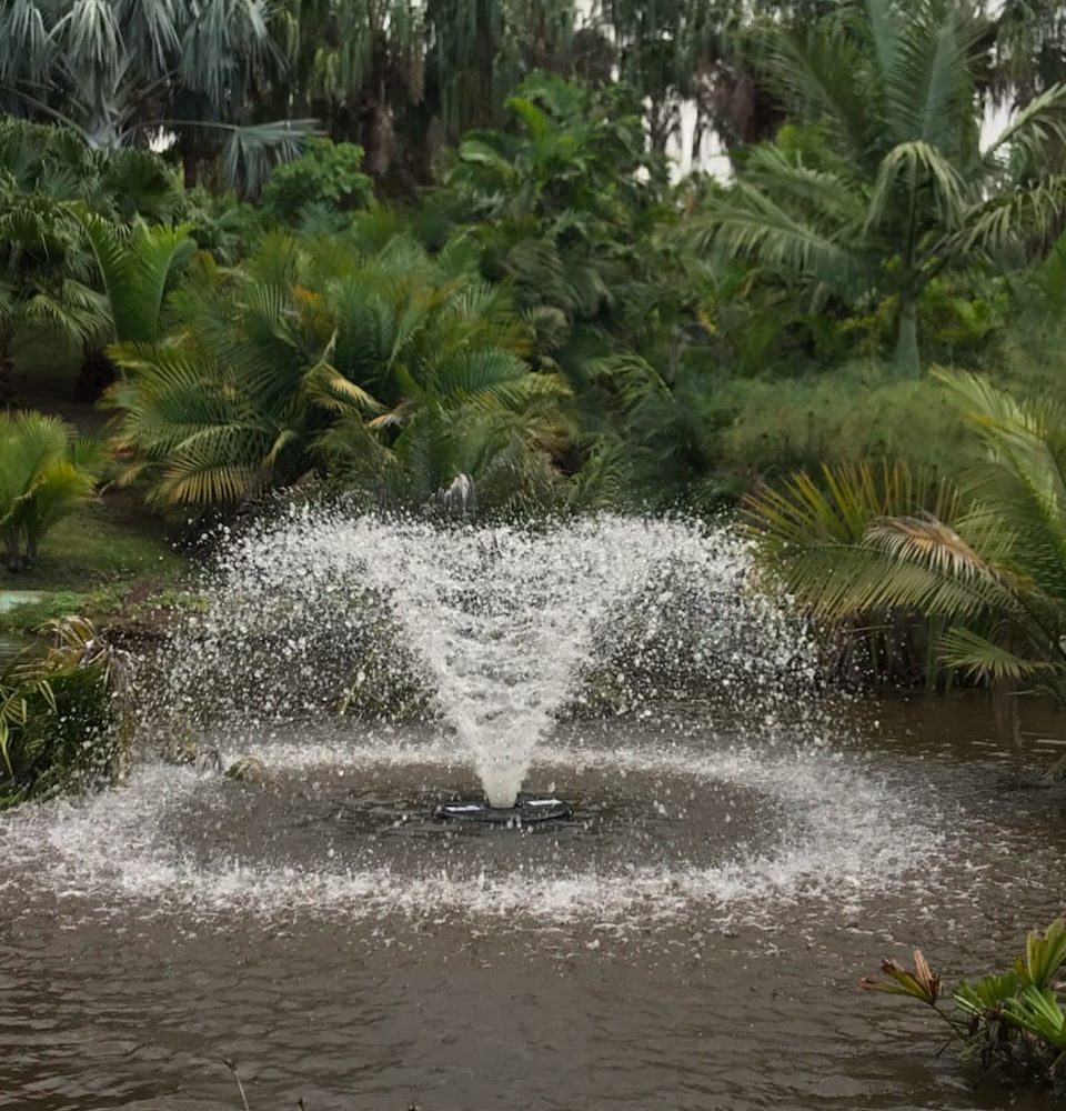 Installation d'aérateur de bassin