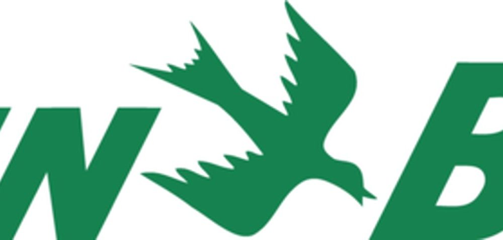 logo rain bird